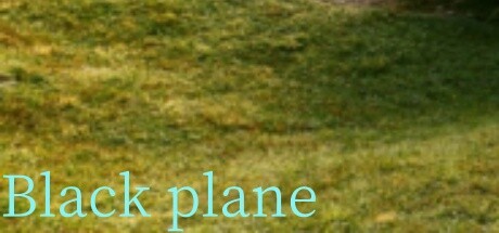 Black plane
