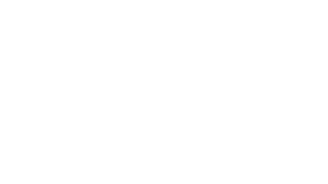 Screamer