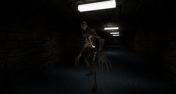Скриншот из The Corridors Скриншот из The Corridors