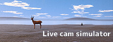 Live Cam Simulator