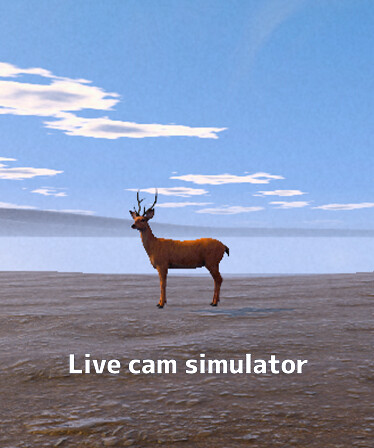 Live Cam Simulator