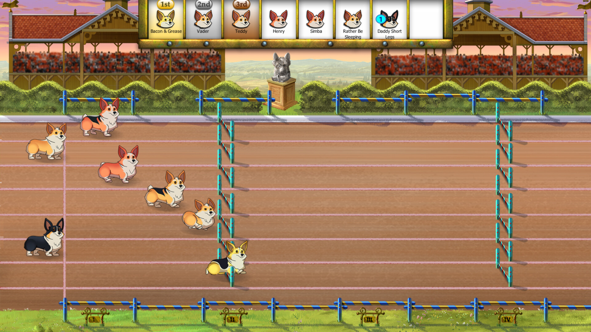 Corgi Race #4