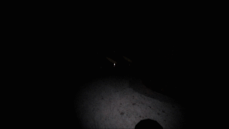 GIF2.gif?t=1709638779