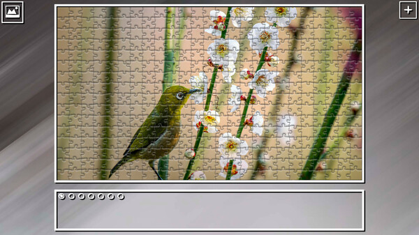 Super Jigsaw Puzzle: Generations - Birds 2