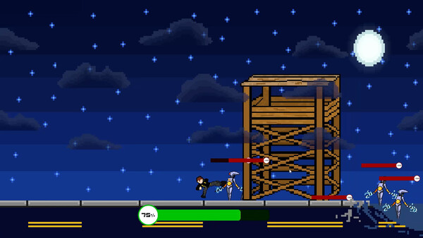 Shadow Brawlfor windows and Linux 1