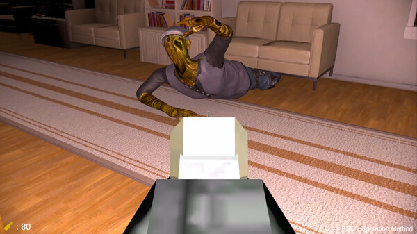 Mister 9for windows and Linux 1