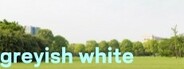 greyish white