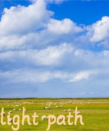 light path