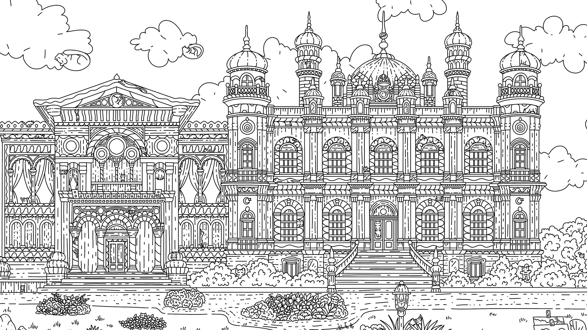 100 Istanbul Cats #7