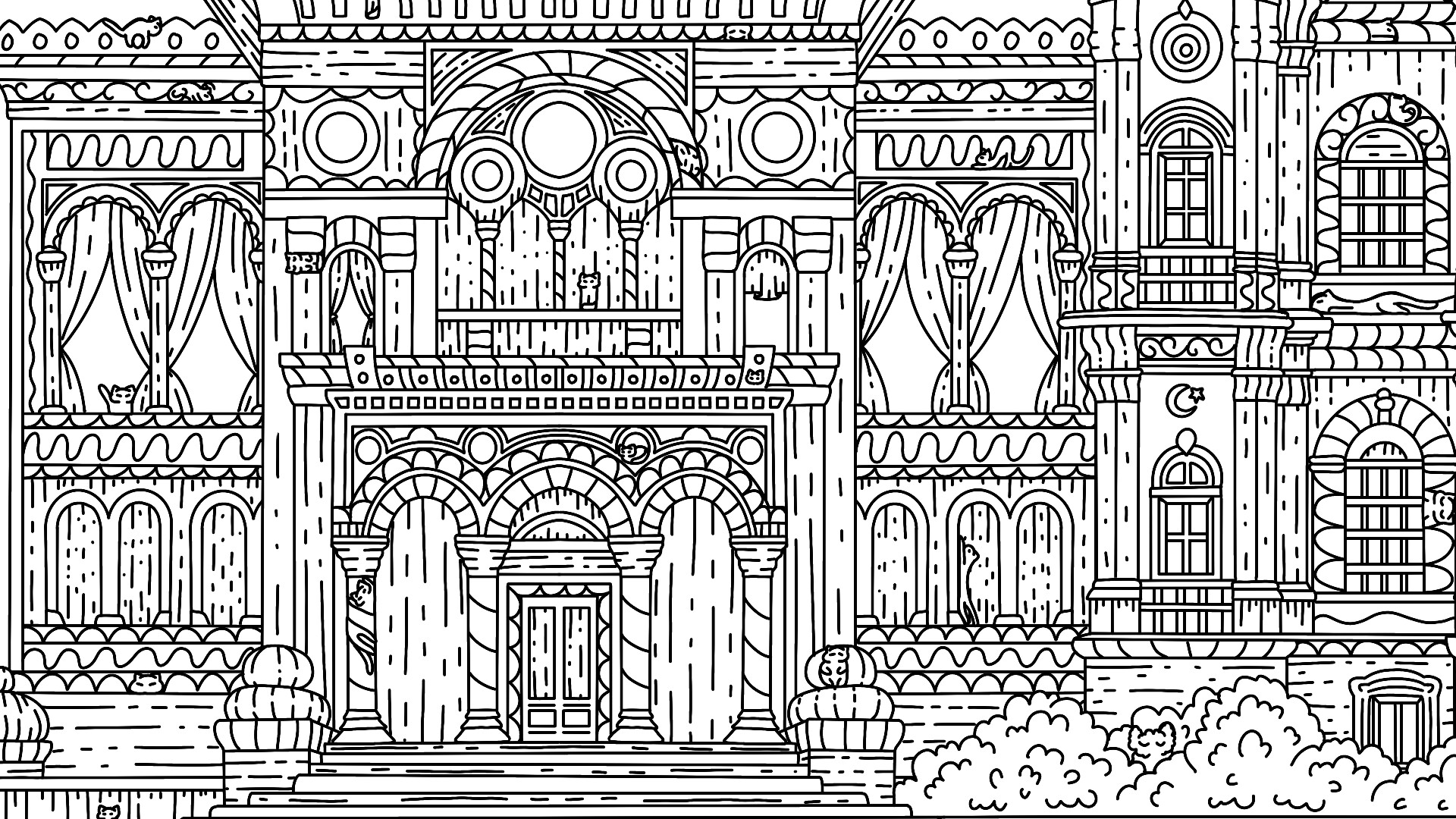 100 Istanbul Cats #4