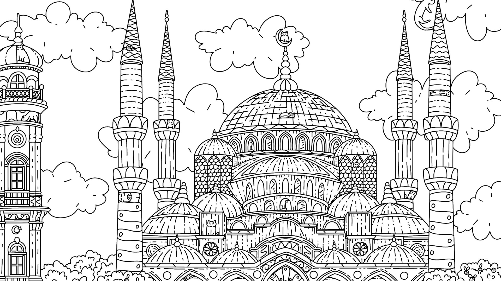 100 Istanbul Cats #6