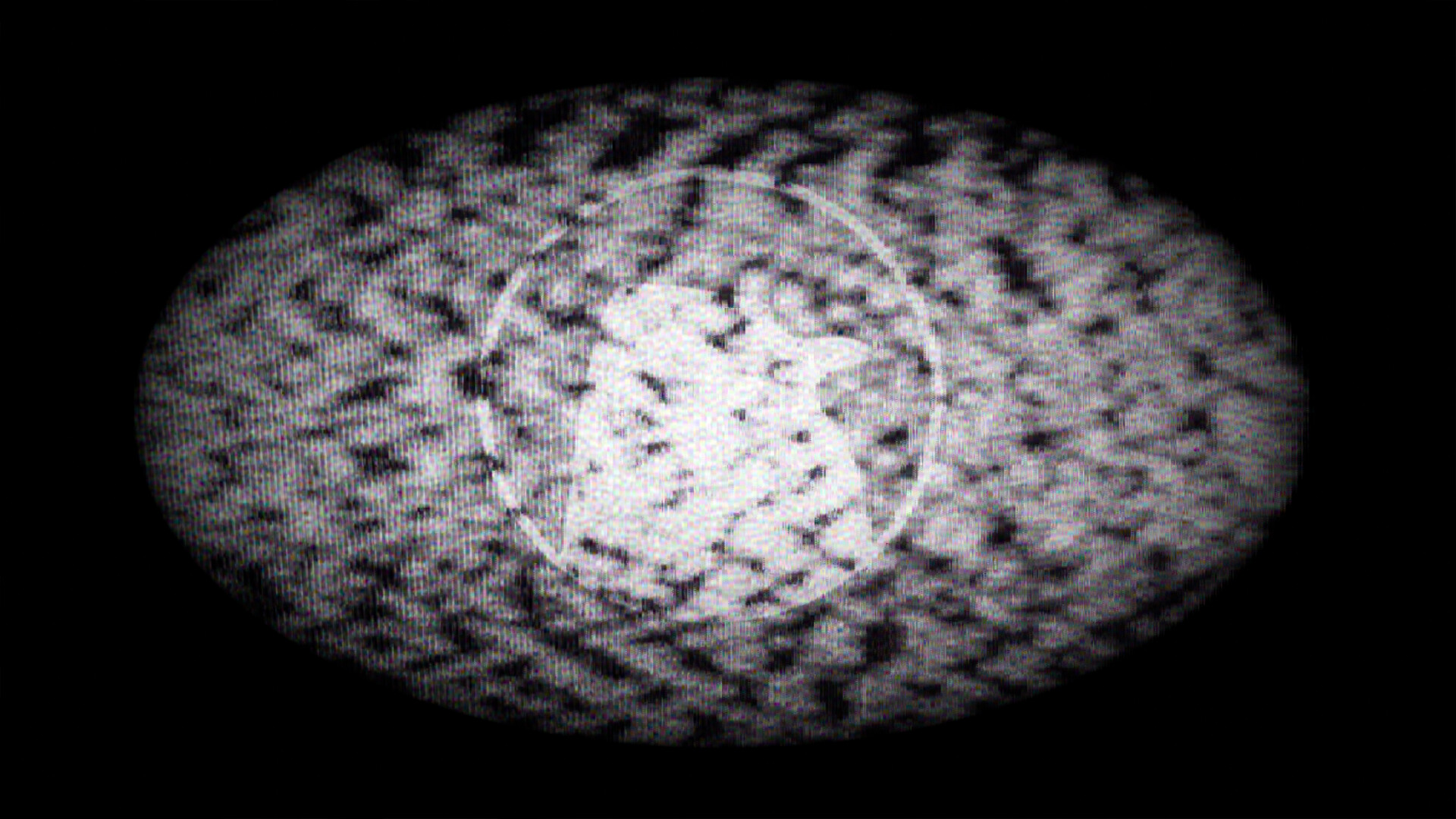 Five Nights With Los Penguinos screenshot screenshot 8