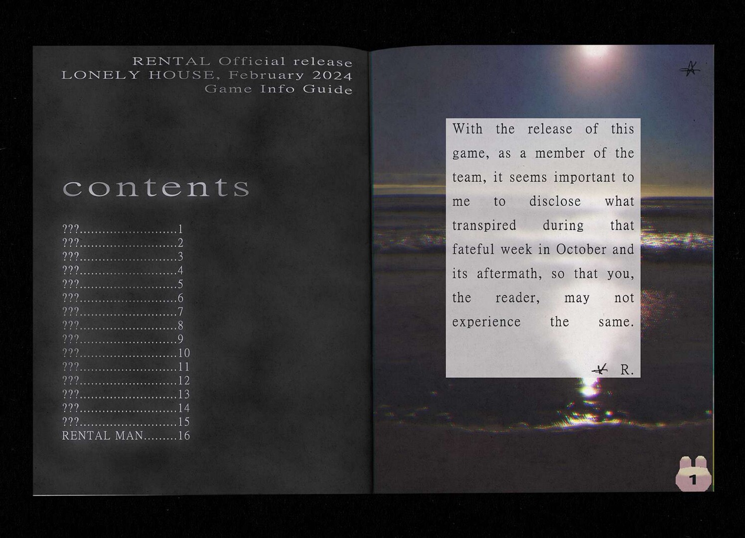 Rental - Supporter Zine #2