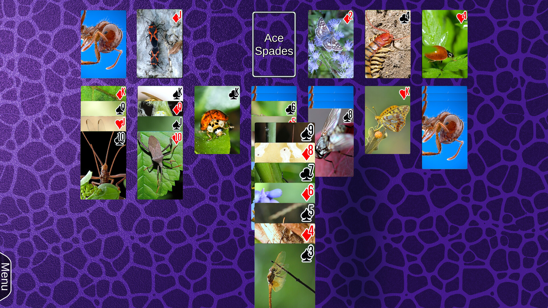Wyvern Studios Solitaire: 30th Aniversary Edition #3