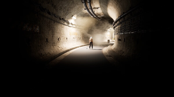 Facelessfor windows and Linux 1