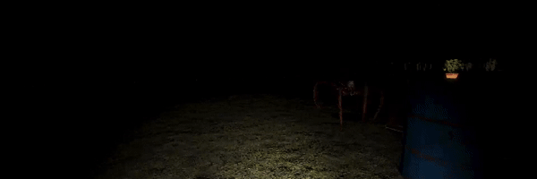5.gif?t=1713763133