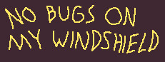 No Bugs On My Windshield