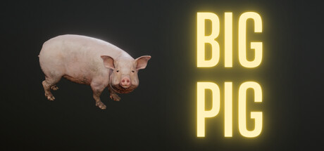 Big Pig Cover Image