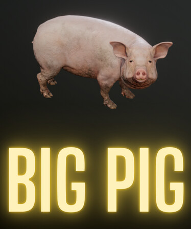 Pih