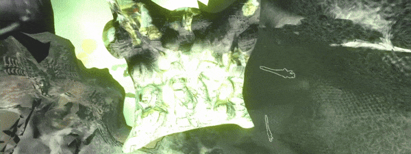 gif3.gif?t=1711620618