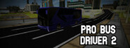 Pro Bus Driver 2