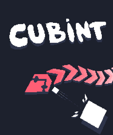 Cubint