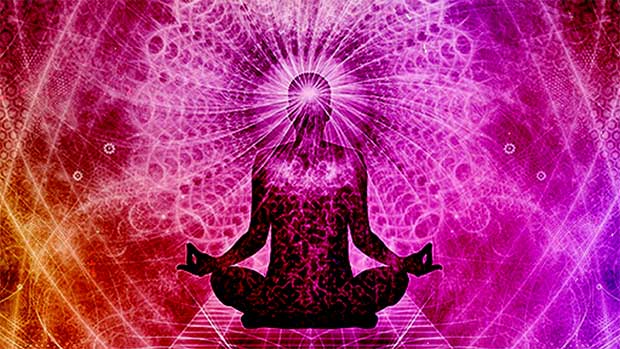 zen-master-body.jpg?t=1714143343