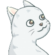 小猫.png?t=1712443888