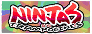 Ninjas on Trampolines