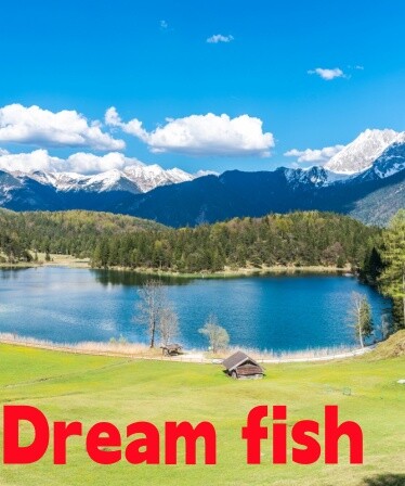 Dream fish