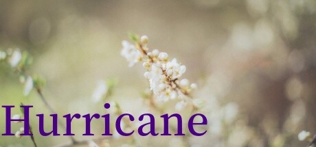 Hurricane banner image