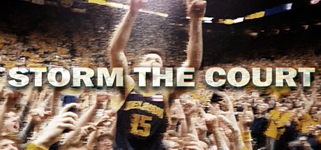 Storm The Court Cover Image