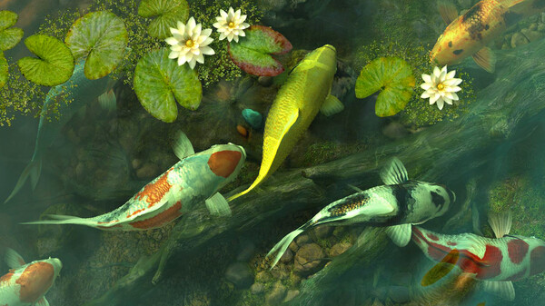 Screen Wonders game for windows Pc 1