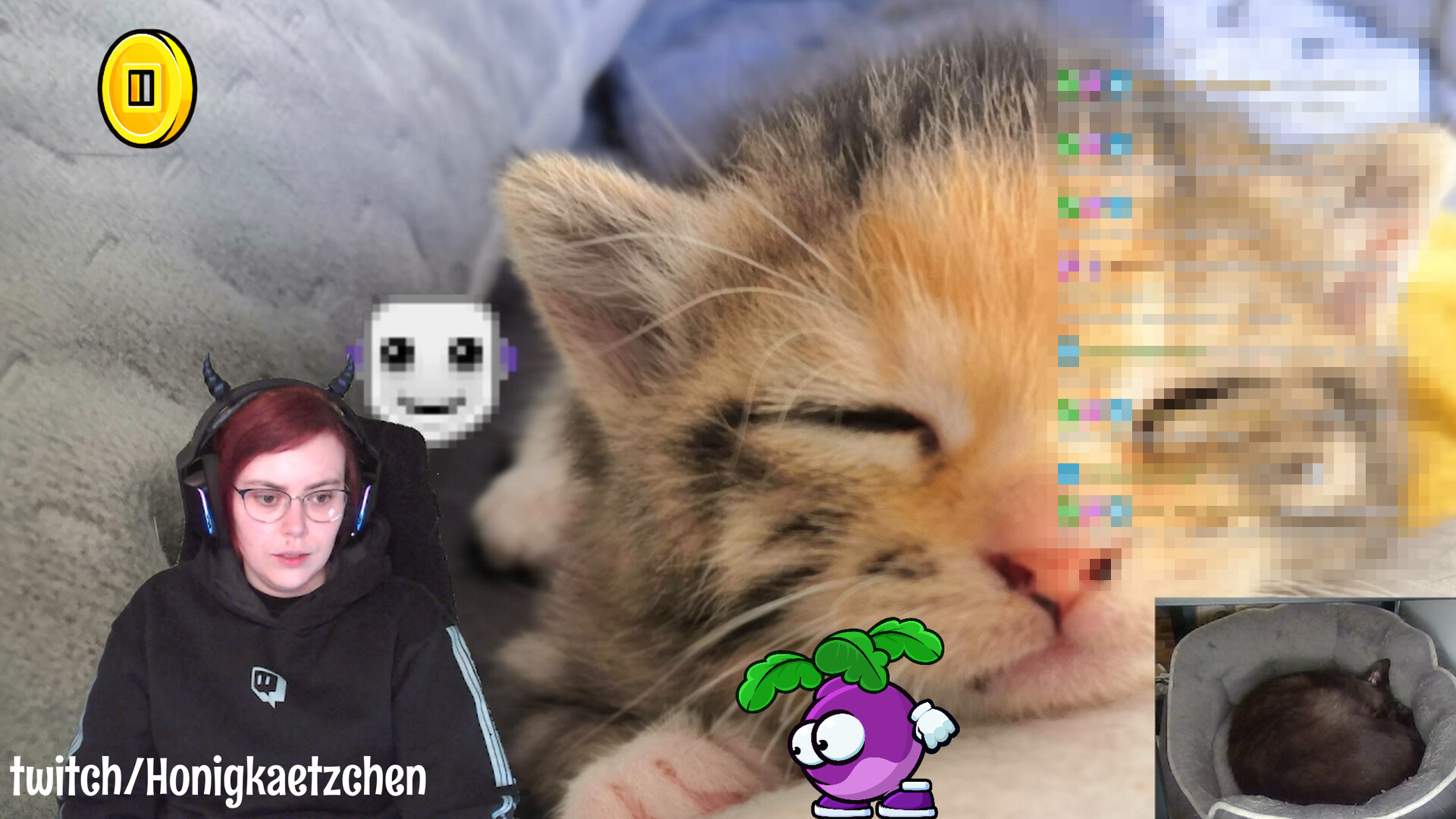 StreamAnimations screenshot thumbnail screenshot 2