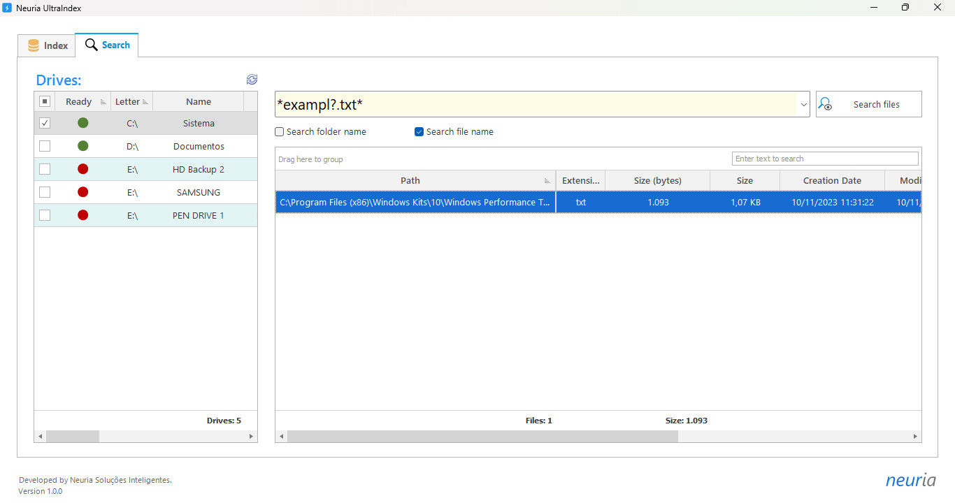 Neuria UltraIndex - File indexing and instant search screenshot 5