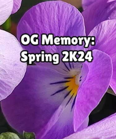 OG Memory: Spring 2K24