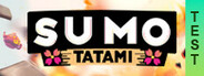Sumo Tatami Playtest
