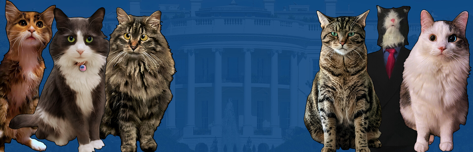 Library Hero - Steam library hero banner