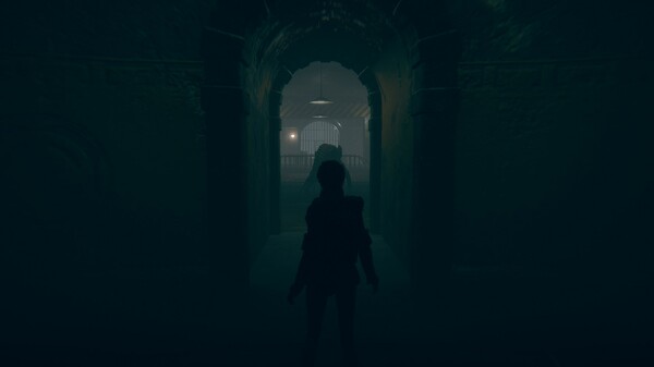 Toxic placefor windows and Linux 1