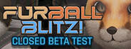 Furball Blitz! Playtest