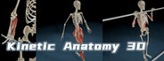 Kinetic Anatomy 3D