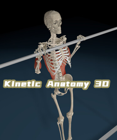 Kinetic Anatomy 3D