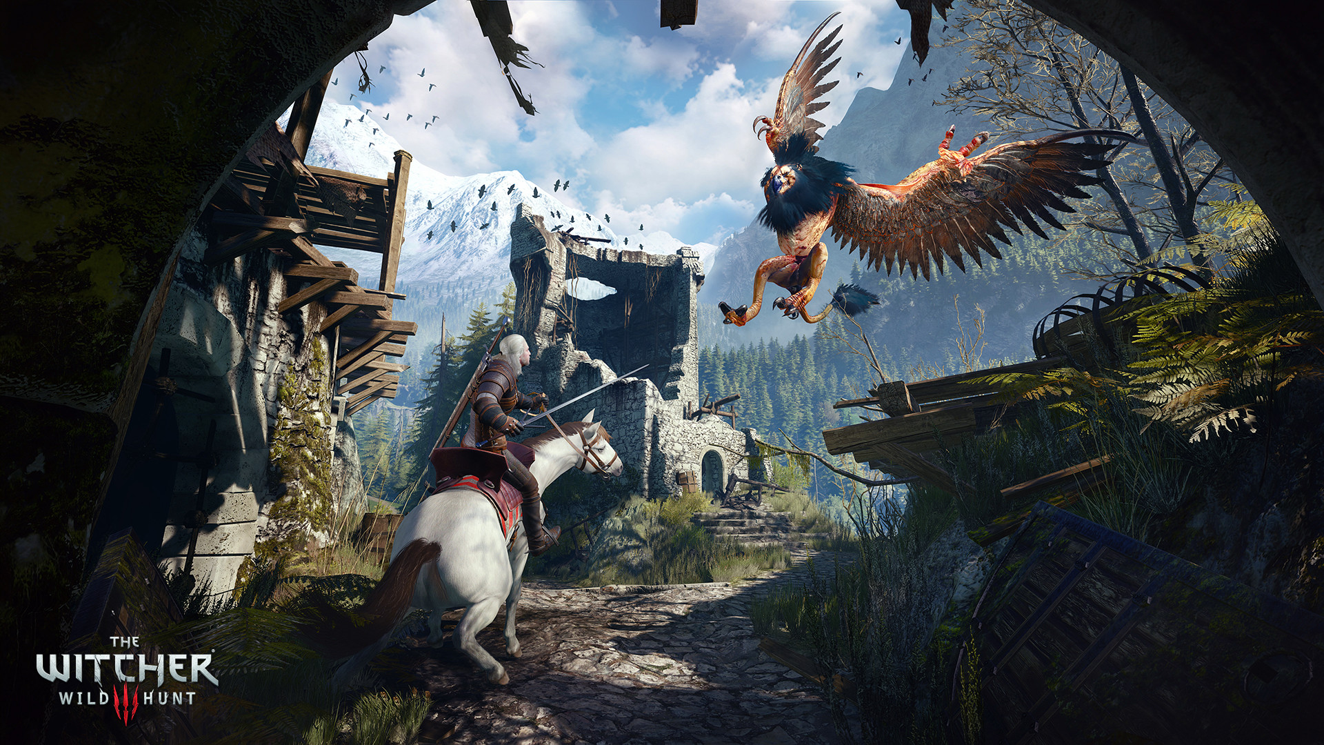 The Witcher  Official Website