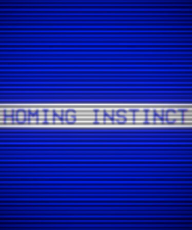 Homing Instinct