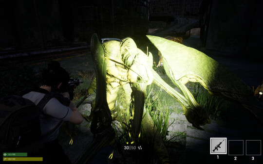 PROJECT : DEBUG game for Linux 1