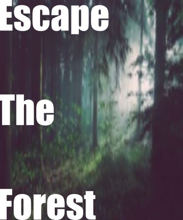 Escape The Forest