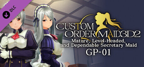CUSTOM ORDER MAID 3D2 Mature, Level-Headed, and Dependable Secretary Maid GP-01 game deal