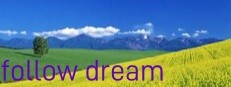 follow dream 게임 이미지