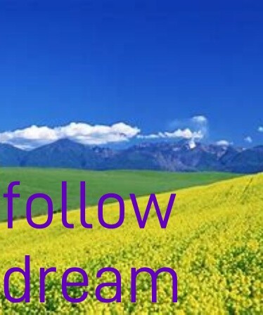 follow dream