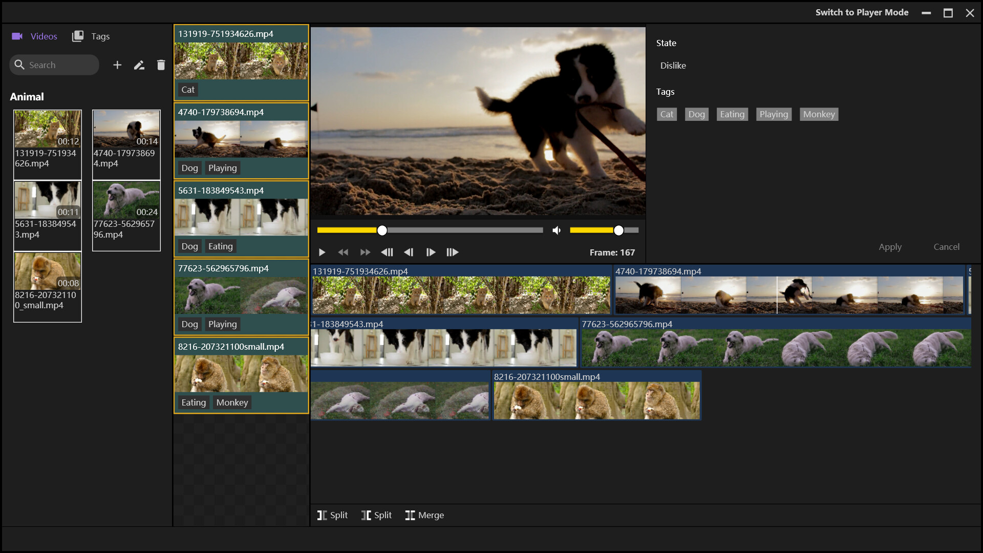XPlayer screenshot 2